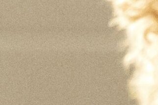 Im Mudroom herlfen wasserführende Produkte etwa zum Abduschen von Hunden