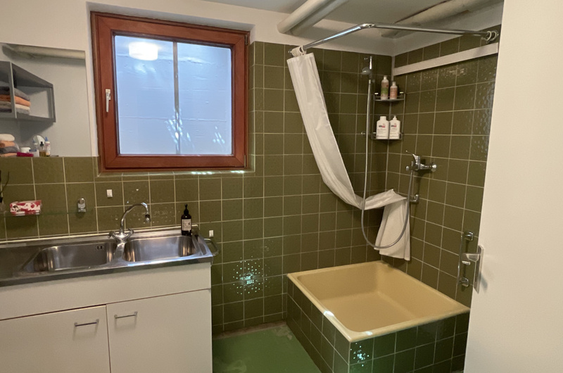Gästebad in Moosgrün mit hoher Duschtasse, unverkleideten Rohren und einer Spüle als Wasschplatz