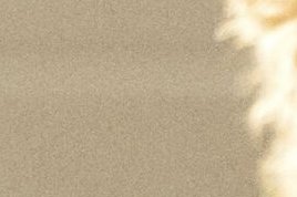 Im Mudroom herlfen wasserführende Produkte etwa zum Abduschen von Hunden