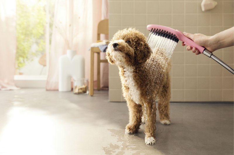 Im Mudroom herlfen wasserführende Produkte etwa zum Abduschen von Hunden